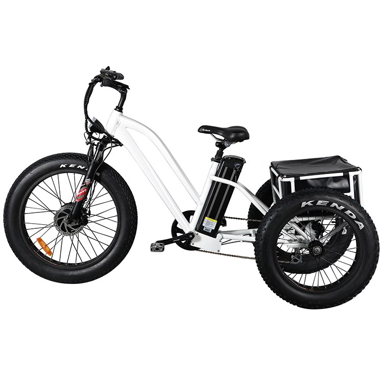 New Arrival Lithium Battery Electric Trike Tricycle Three Wheeler with LED Display and Fat Tyre